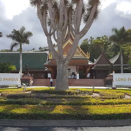 Rosmary * 拉克鲁斯