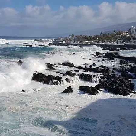 Rosmary * 拉克鲁斯