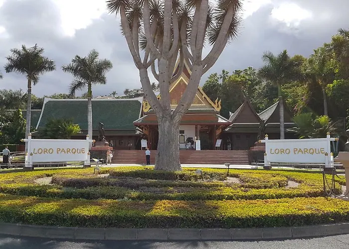 Rosmary * Puerto de la Cruz (Tenerife)